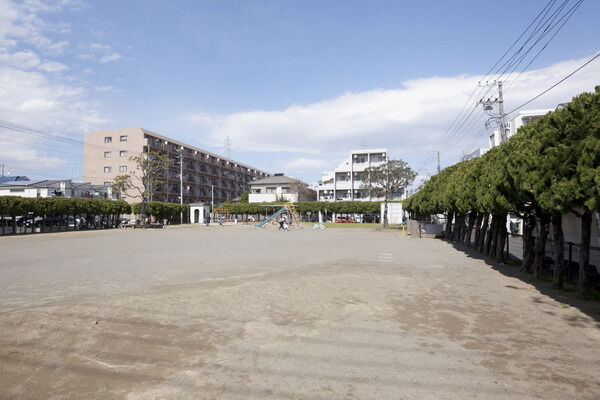 南場公園　現地より約10m