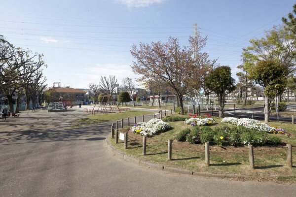 南沖公園　現地より約10m