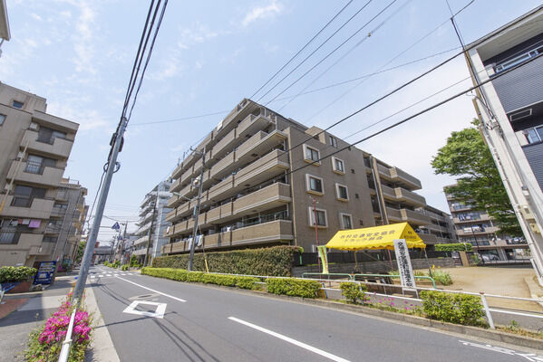 コスモ蓮根ロイヤルフォルム 2枚目 コスモ蓮根ロイヤルフォルム