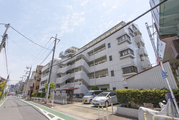 コスモ蓮根ロイヤルフォルム 3枚目 コスモ蓮根ロイヤルフォルム