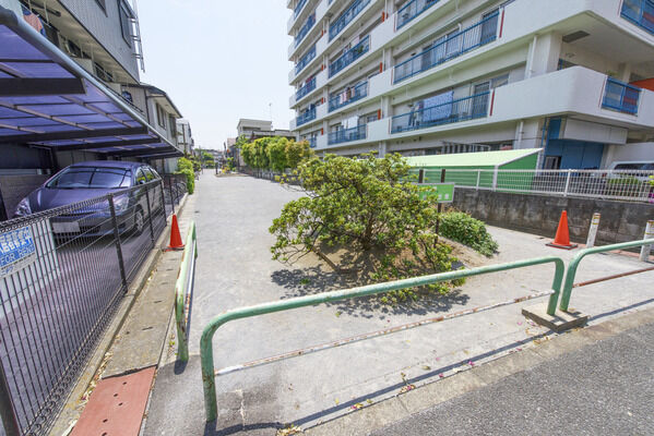 むつみ橋公園　現地より約50m