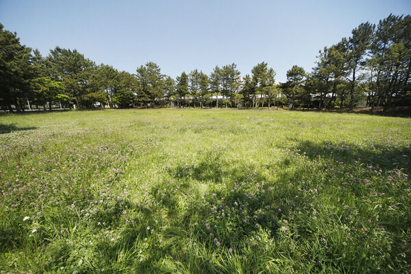 まつかぜ公園　現地より約140m