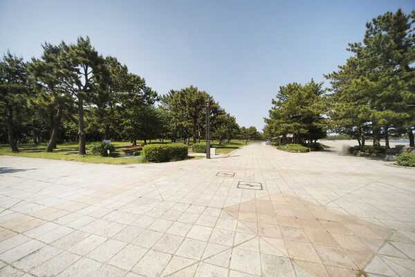 海の公園　現地より約350m