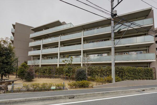 シャリエ朝霞