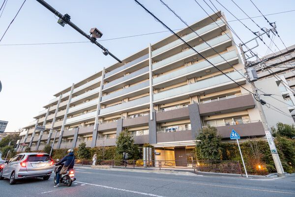 アデニウム川崎