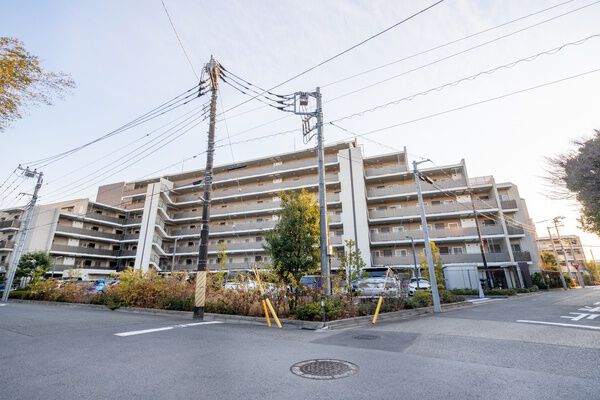 アデニウム川崎