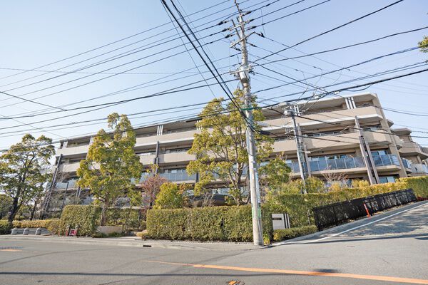 ドレッセ鷺沼の杜アリーナフォレスト