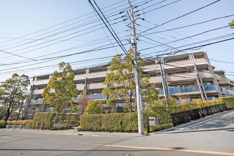 ドレッセ鷺沼の杜アリーナフォレスト 7枚目 ドレッセ鷺沼の杜アリーナフォレスト