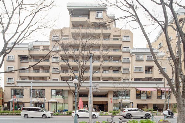 シャトレけやき通り