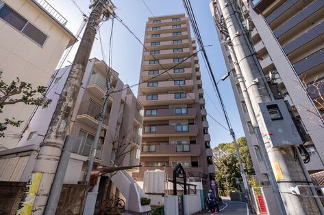 シティタワー大濠 8枚目 シティタワー大濠