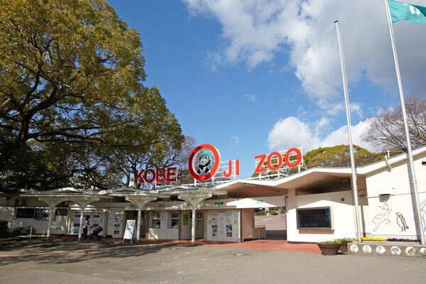 パンダやコアラがいる「神戸市立王子動物園」まで約340m(徒歩5分)。 パンダやコアラがいる「神戸市立王子動物園」まで約340m(徒歩5分)。