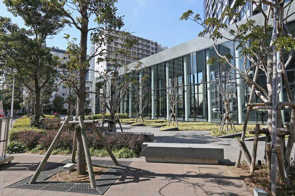 海風に揺れる植栽。光が降り注ぐ約260平方メートルのエントランスホール。		