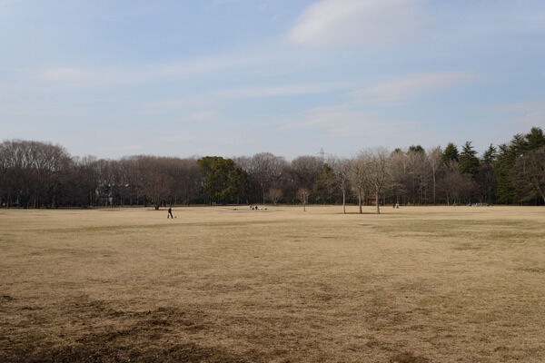 総面積約77万㎡を誇る「都立小金井公園」は約1,360m（徒歩17分）。