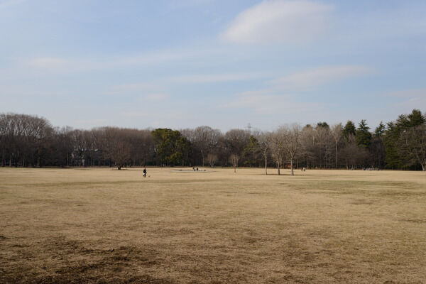 「都立小金井公園」は、約560m（徒歩7分）。		