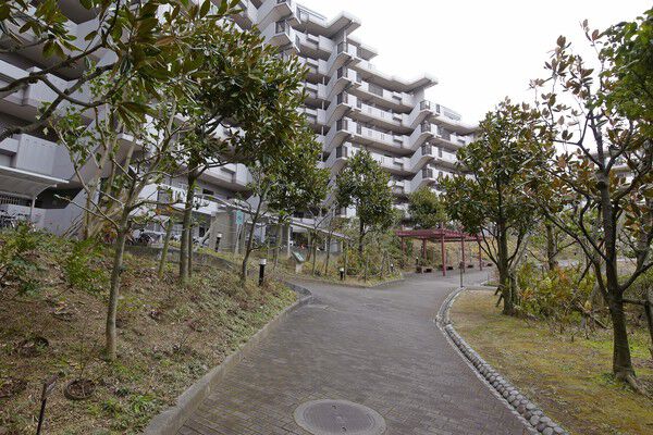 四季折々異なる表情を見せる木々。ウォーキングが楽しくなります。		