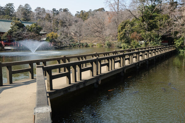武蔵野の面影を残す「井の頭恩寵公園」。約2,700m（徒歩34分）。