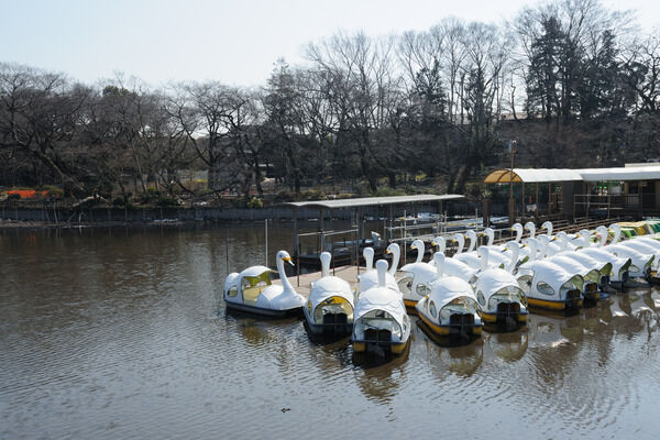 市民の憩いの場「井の頭公園」は、約1,600m（徒歩20分）。