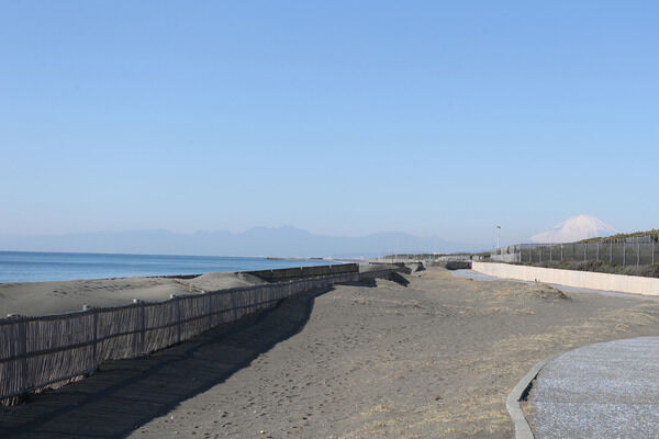 「湘南海岸」は徒歩圏内。松並木が見える風情豊かな立地。