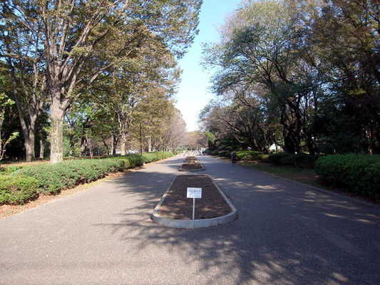 「都立小金井公園」などの自然を身近に