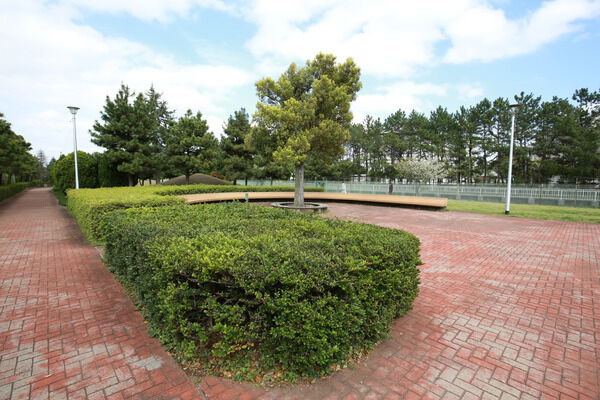 テニスコートもある緑豊かな「若松公園」は、約220m（徒歩3分）。