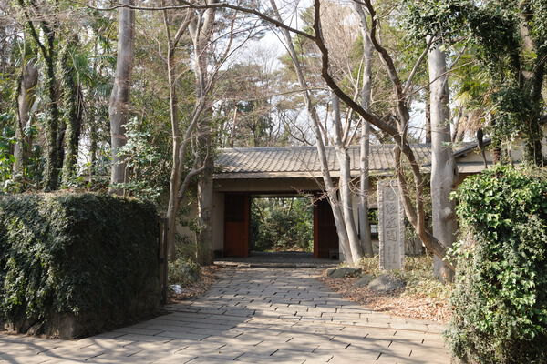 自然豊かな「滄浪泉園緑地」までは約300ｍ（徒歩4分）。		