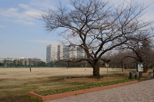 「武蔵野中央公園」までは約1,600m（徒歩20分）。