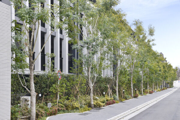 【シティテラス西荻窪】潤いと安らぎに満ちた日々を予感させる、豊かな植栽。 【シティテラス西荻窪】潤いと安らぎに満ちた日々を予感させる、豊かな植栽。