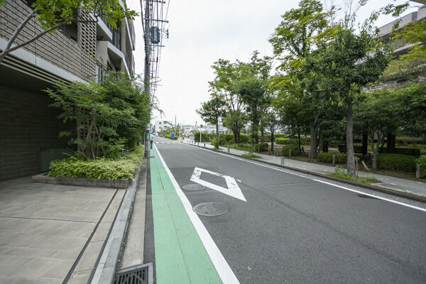 約20mの位置にある星川中央公園をはじめ、周囲には公園が点在。