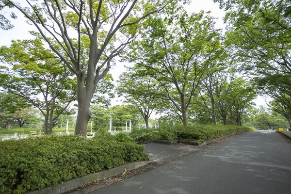 県立保土ヶ谷公園より約950m(徒歩12分)