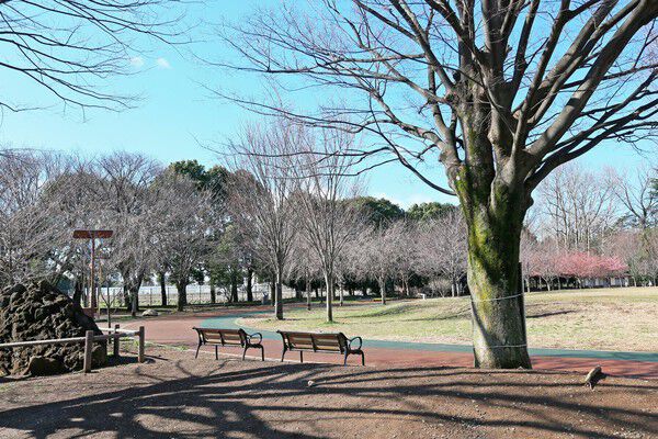 「西東京いこいの森公園」まで約1,100m（徒歩14分）。