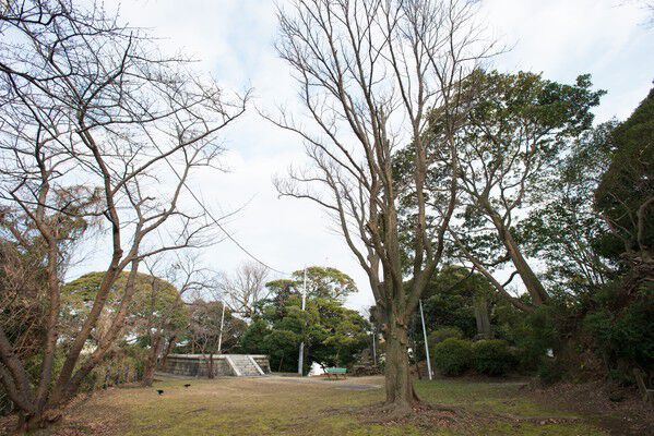 歴史と趣のある「諏訪公園」まで約300m（徒歩4分）。日々の散歩や息抜きに。		