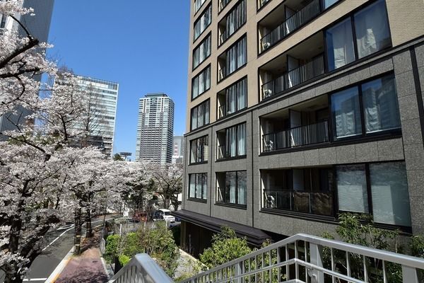 【パークコート赤坂桜坂】春の桜坂（平成３０年４月撮影）