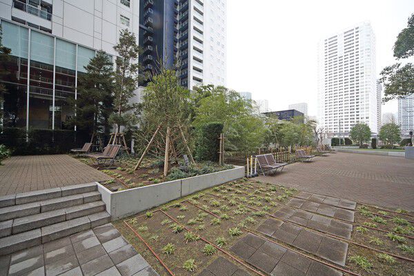 夜は、機能的でありながらやわらかな印象の照明に水と緑が浮かび上がる。