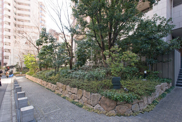 木々が生い茂る石積みのガーデンには、歩道からの視界を遮る機能も。 木々が生い茂る石積みのガーデンには、歩道からの視界を遮る機能も。