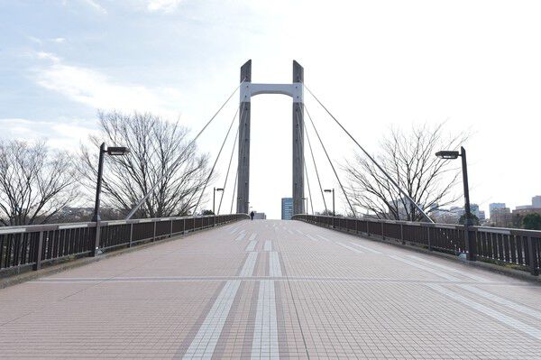東京都現代美術館も併設。緑と水に囲まれた「木場公園」へは約260m（徒歩4分）。