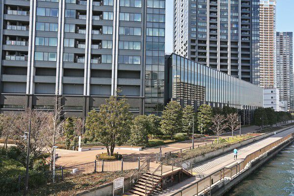 【シティタワーズ豊洲ザ・ツイン】水辺に常緑樹を列植したキャナルウォーク。周辺には3つの庭園空間が広がります。 【シティタワーズ豊洲ザ・ツイン】水辺に常緑樹を列植したキャナルウォーク。周辺には3つの庭園空間が広がります。