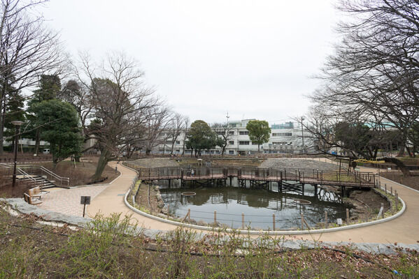 豊かな緑と水を湛えた心潤う「文庫の森公園」は、約1,000m(13分）。