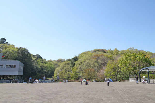 都筑中央公園　現地より約100m