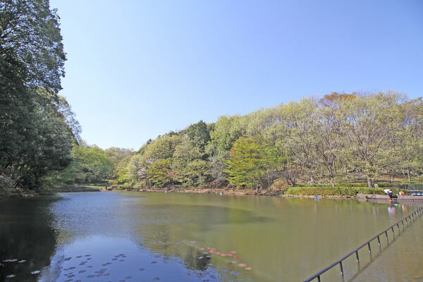 都筑中央公園　現地より約100m