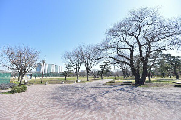 緑豊かな「武蔵野中央公園」は、約2,000m(徒歩25分）。