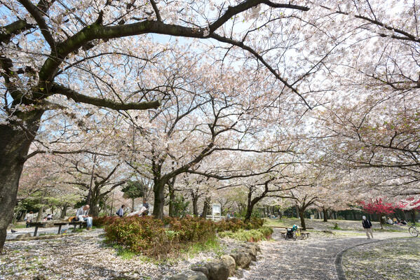 豊かな自然に憩う「南河原公園」まで約910m（徒歩12分）。