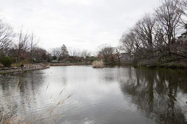 「菊名池公園」は、約650m（徒歩9分）とお散歩に最適。