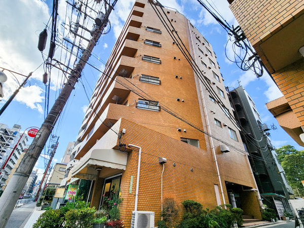 【ニューライフ千駄木壱番館】外観 【ニューライフ千駄木壱番館】外観