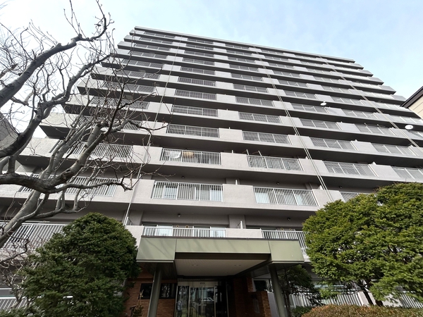 コープ野村大谷地