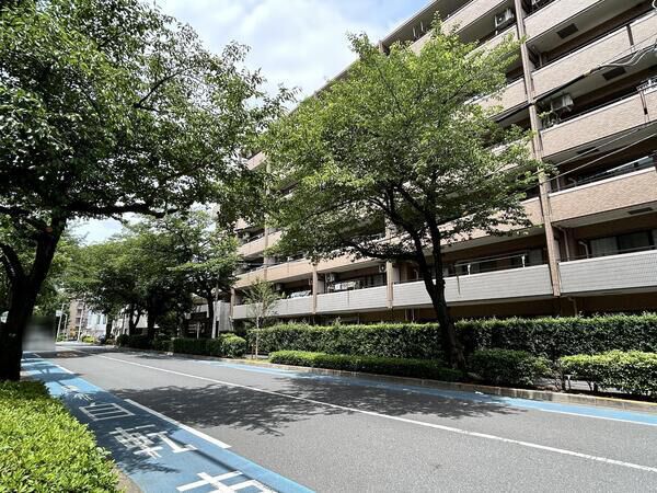 ライオンズヴィアーレ練馬春日町 3枚目 ライオンズヴィアーレ練馬春日町