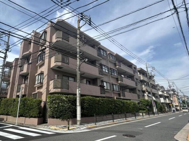 【ウィライブ練馬中村北】前面道路