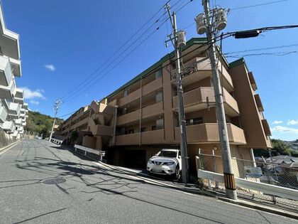 外観 外観