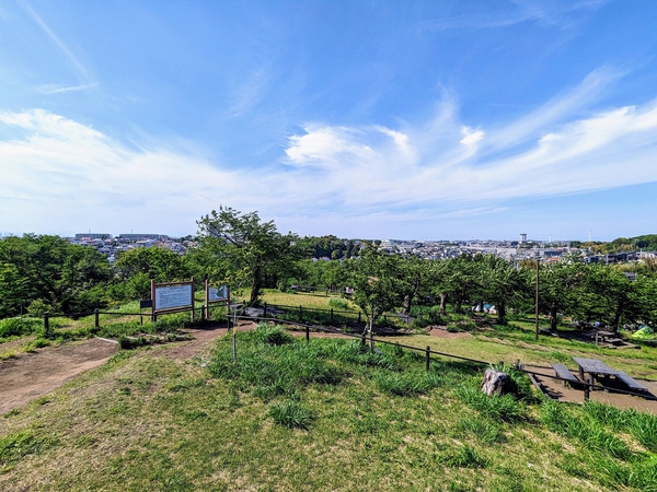 こども自然公園（大池公園）