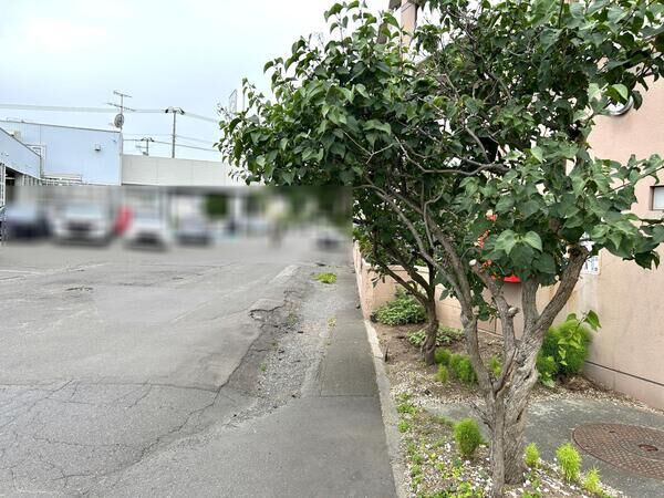 ロピア本通り 5枚目 ロピア本通り