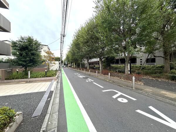 【コージーコート二子玉川】前面道路
